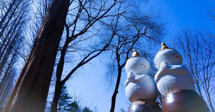 Seoul: Elysian Gangchon Winter Ski with Nami Island Day Tour - Morning arrival at Nami Island