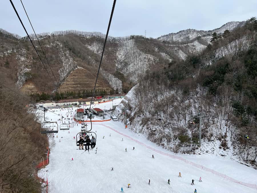 Seoul: Elysian Ski Resort One Day Tour - Choosing Between Free Time, Ski, and Ski Plus Lift