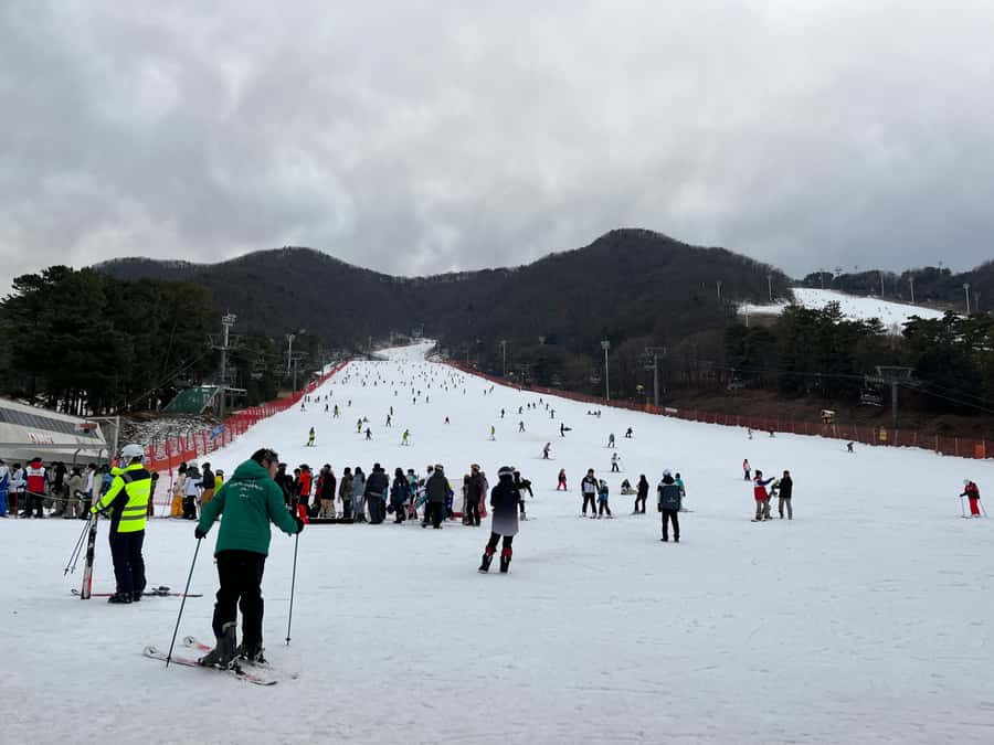Seoul: Elysian Ski Resort One Day Tour - Six and a Half Hours on the Snow