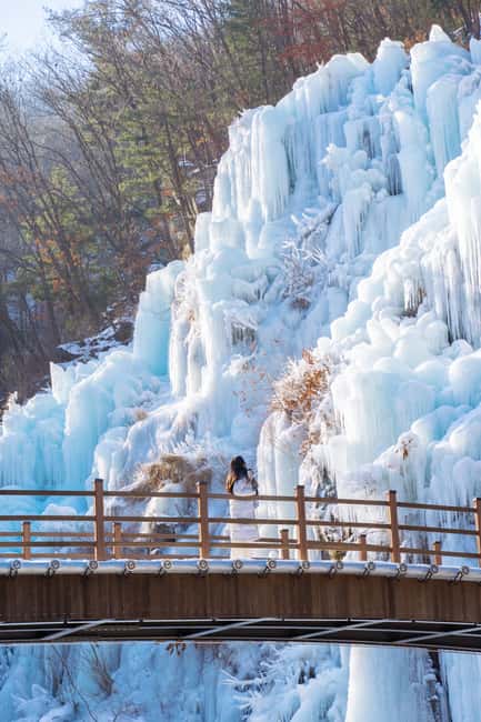 Seoul: Eobi Ice Valley, Alpaca World, Nami Island and More - Why this Seoul day trip works