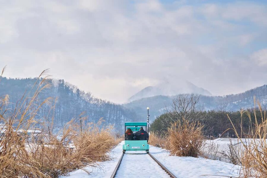 Seoul: Eobi Ice Valley, Alpaca World, Nami Island and More - Alpaca World: the day’s most cheerful hour and a half