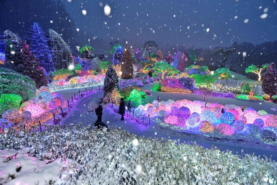 Seoul: Eobi Ice Valley, Nami Island & Railbike opt Garden - Nami Island: three and a half hours among the trees