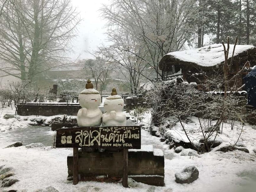 Seoul: Eobi+Nami+Hanbok(+RailBike or Strawberry Options)Tour - Hanbok and Kimbap: a hands-on finish