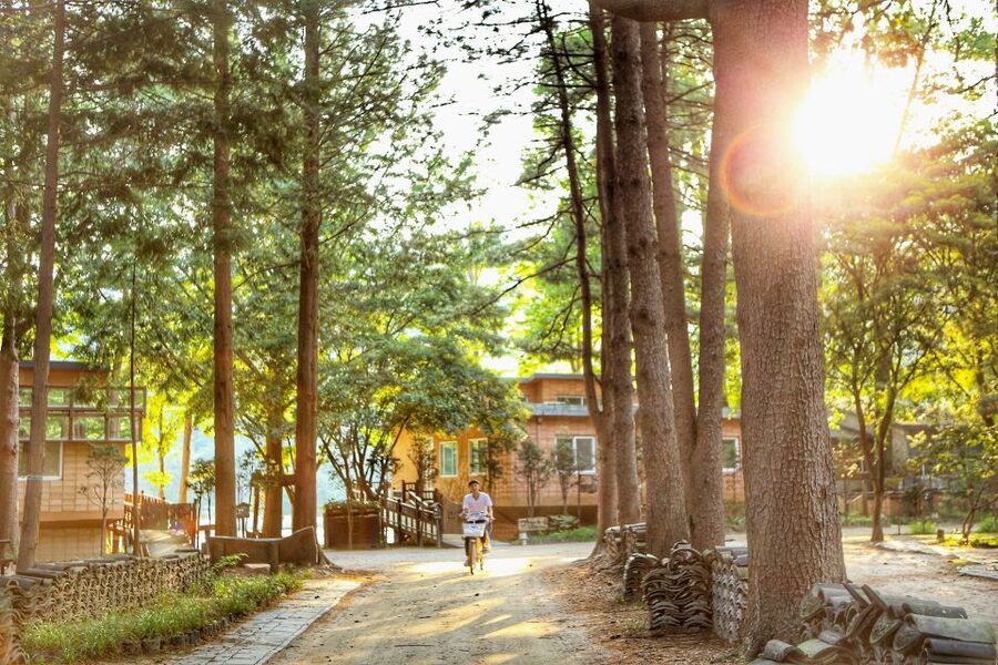Seoul: Eobi Valley(Winter), Strawberry, Nami Island and Bike - What makes this day trip worth considering