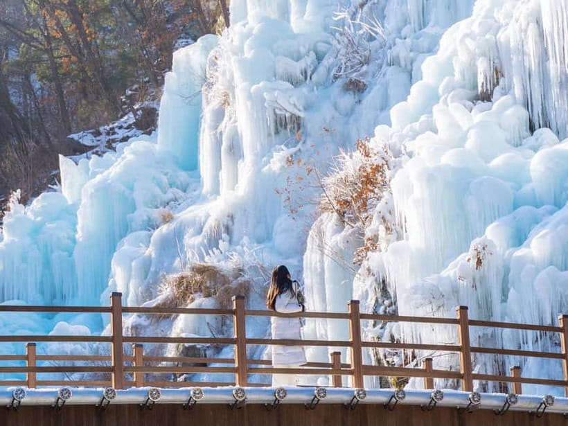 Seoul: Eobi Valley(Winter), Strawberry, Nami Island and Bike - Pedaling through Gangchon countryside