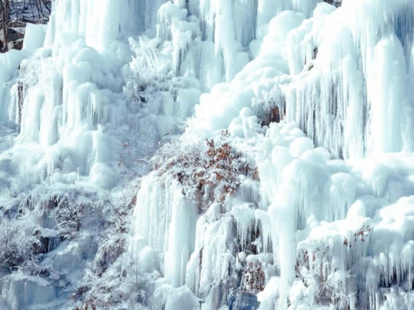Seoul: Eobi Valley(Winter), Strawberry, Nami Island and Bike - Who will enjoy this most