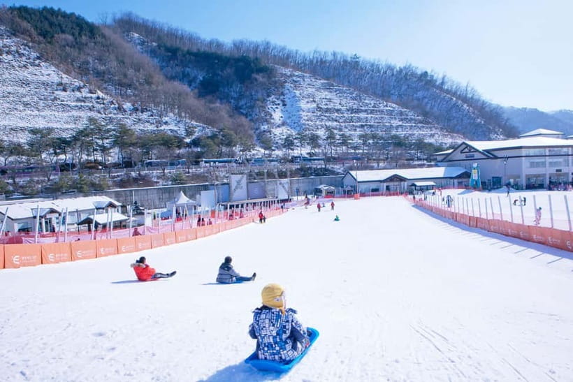 Seoul: Full-Day Winter Trip Ski Resort, Ice Valley, Namiseom - Key points to know before booking