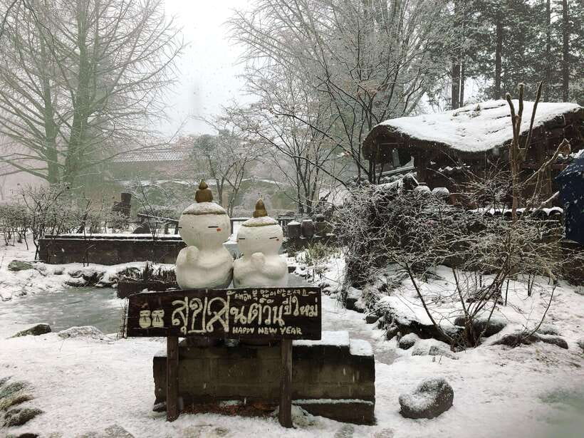 Seoul: Full-Day Winter Trip Ski Resort, Ice Valley, Namiseom - A long winter day from central Seoul