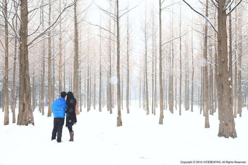 Seoul: Full-Day Winter Trip Ski Resort, Ice Valley, Namiseom - Clothing, age limits, and physical demands