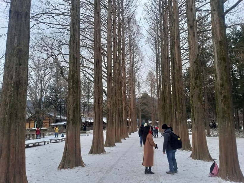 Seoul: Full-Day Winter Trip Ski Resort, Ice Valley, Namiseom - Should you book this winter day trip?