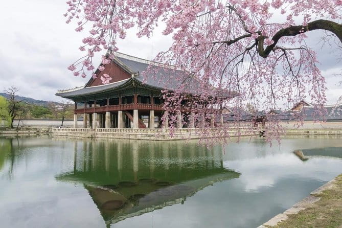 Seoul Gangnam night Bongeunsa temple & Gourmet tour(pick up) - Two Hours of Korean Barbecue at COEX