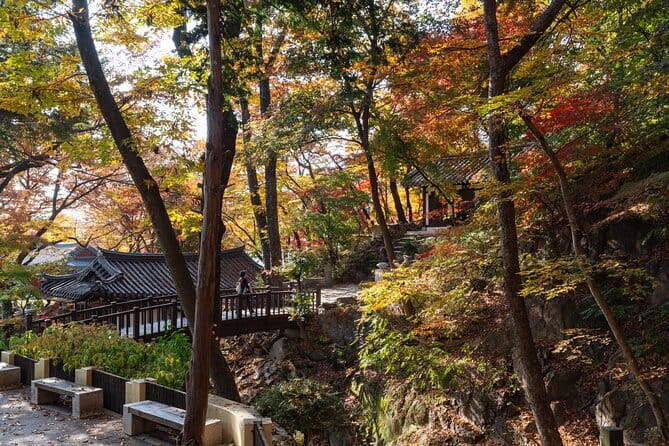 Seoul Gangnam night Bongeunsa temple & Gourmet tour(pick up) - The Guide and Group Experience