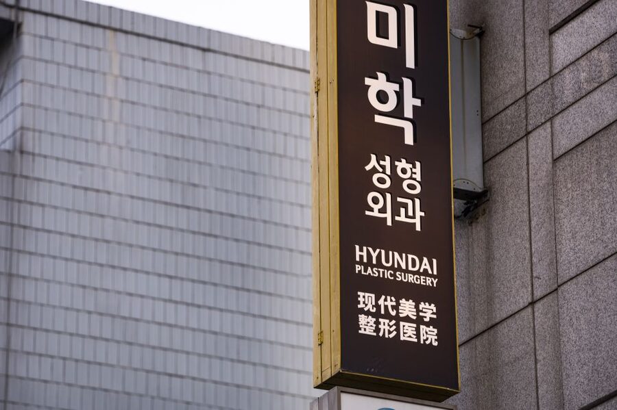 Seoul: Gangnam Tour on Youth and Society in South Korea - Housing, work, dating, and marriage
