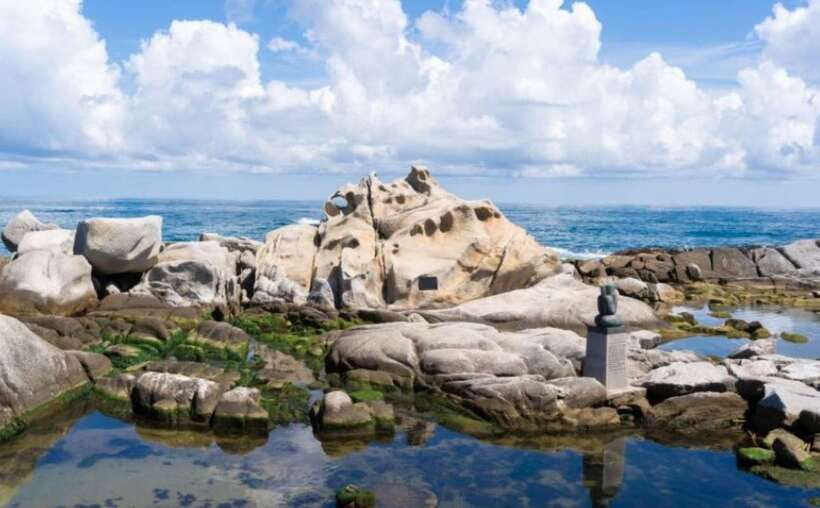 Seoul: Gangneung BTS K-Pop & K-Drama Filming Locations Tour - Option 2: Haslla Art World and Anmok Coffee Street