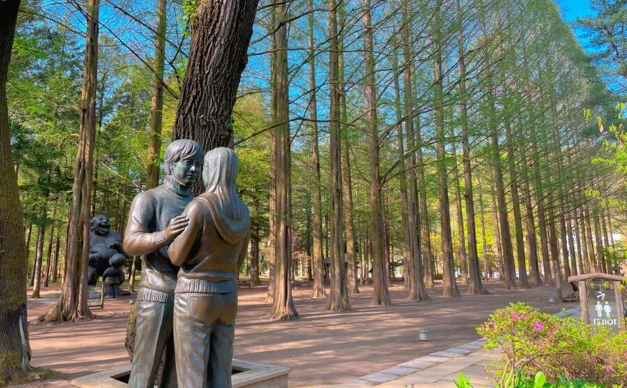 Seoul: Gangwon-do Day Trip with Alpaca World & Nami Island - Who should book this experience?