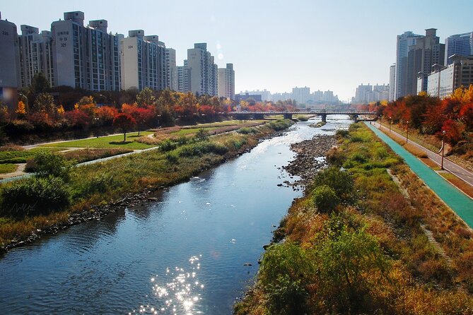 Seoul Gimpo Airport (GMP) Transfer to Seoul/Suwon/Seongnam/Yongin - Vehicle Comfort and Luggage Limits