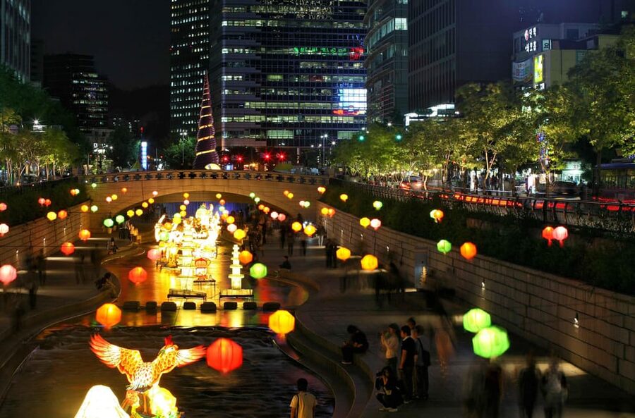 Seoul Gwangjang Market Foody Walking Tour - What the guide adds to the experience