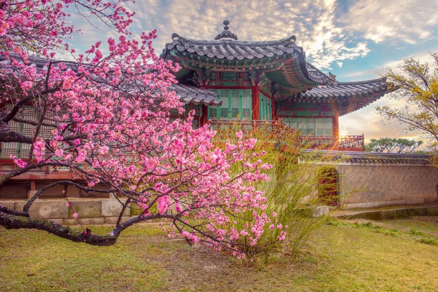 Seoul: Gyeongbok Palace and Bukchon Hanok Walking Tour - Starting beside The Plaza Hotel at City Hall