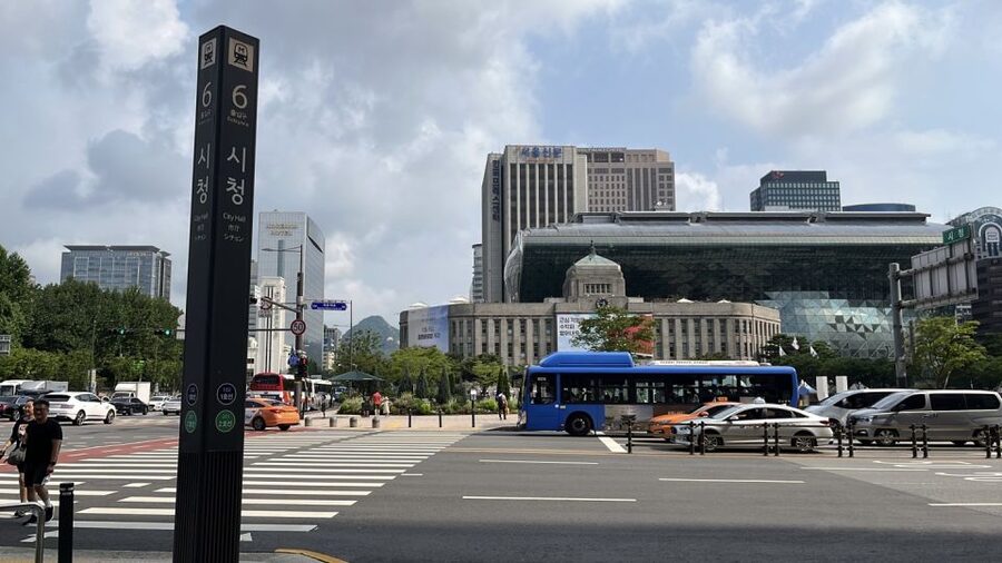 Seoul: Gyeongbok Palace and Bukchon Hanok Walking Tour - What the guides add to the experience
