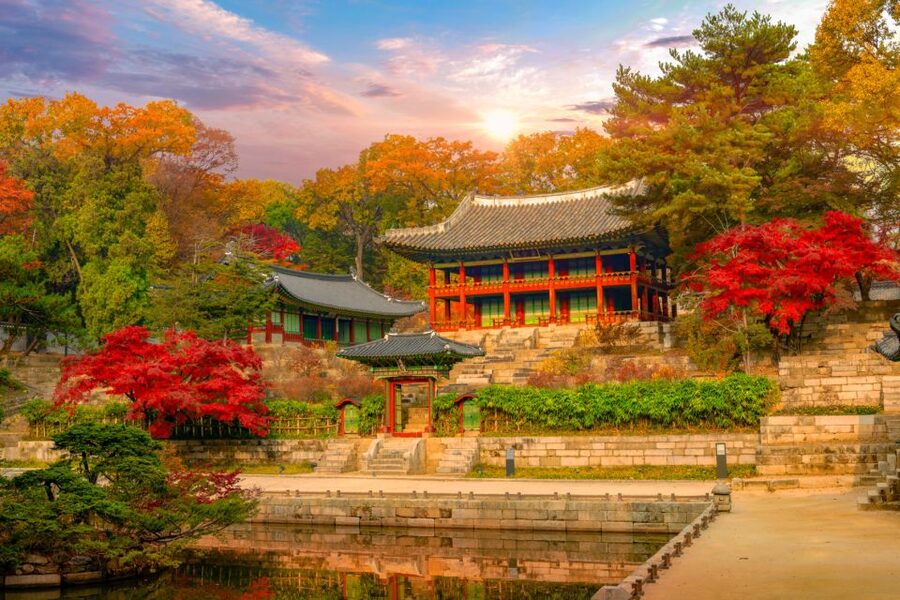 Seoul: Gyeongbok Palace and Bukchon Hanok Walking Tour - Who should book this morning walk?