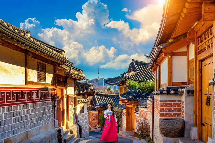 Seoul: Gyeongbokgung / Hanok Village / N Seoul Tower - Language and guiding style