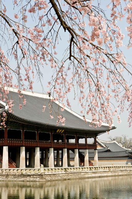 Seoul: Gyeongbokgung Palace Tour & Lunch at Authentic Market - Should you book this Gyeongbokgung and market tour?