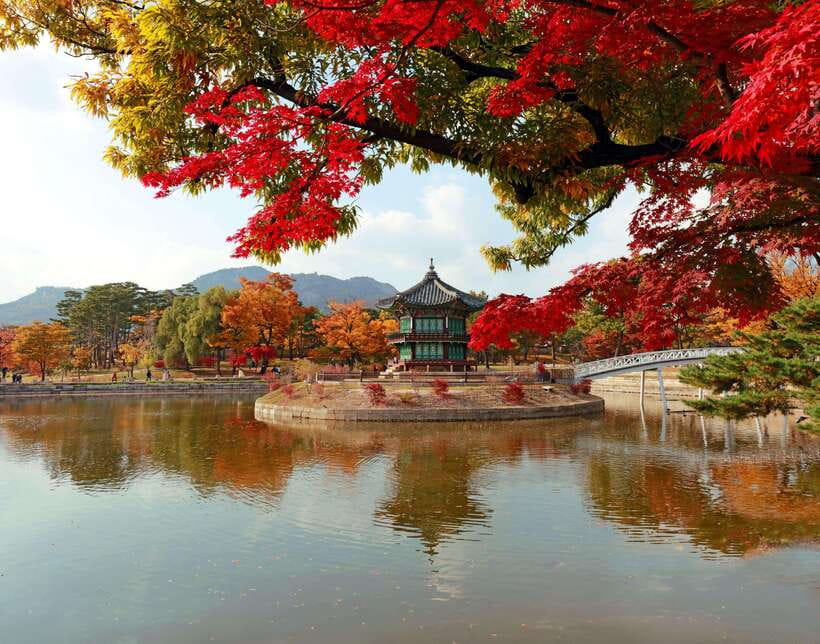 Seoul Highlights: Gyeongbok Palace, Insadong & N Seoul Tower - Key points at a glance