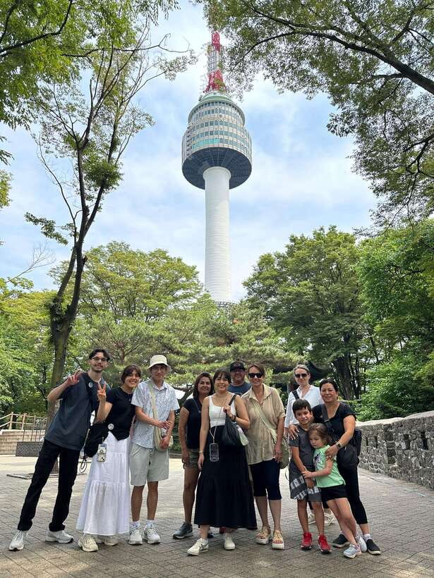 Seoul Highlights: Gyeongbok Palace, Insadong & N Seoul Tower - The National Folk Museum adds everyday detail