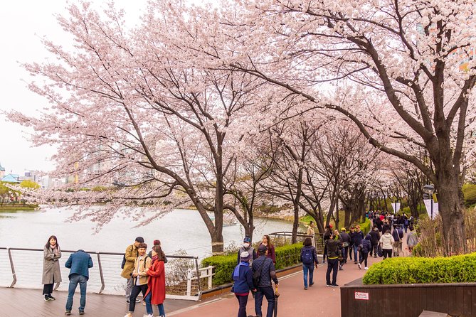 Seoul Highlights & Hidden Gems – Private Tour with Photo Service - Why this private Seoul tour works