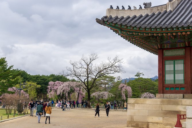 Seoul Highlights & Hidden Gems – Private Tour with Photo Service - N Seoul Tower and the cable car decision