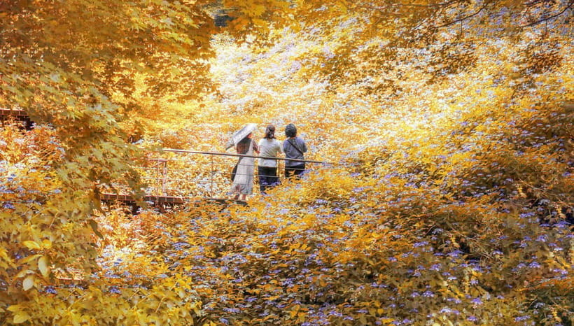 Seoul: Hwadam Forest & Namhansanseong & Korean Folk Village - Key points at a glance