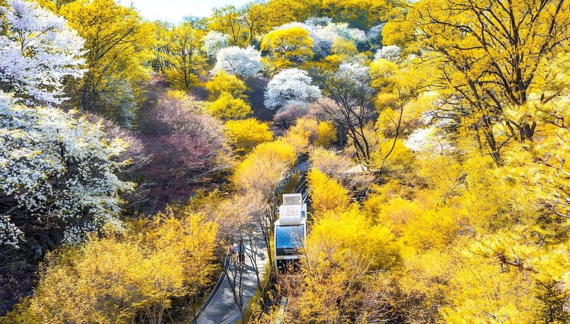 Seoul: Hwadam Forest & Namhansanseong & Korean Folk Village - Three major sights beyond Seoul