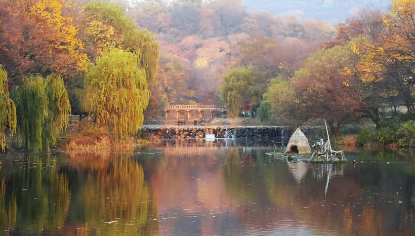 Seoul: Hwadam Forest & Namhansanseong & Korean Folk Village - Final call: a strong variety day outside Seoul