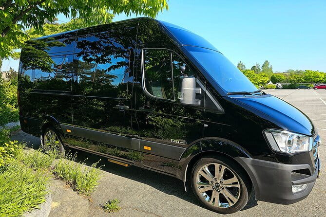 Seoul Incheon Airport (ICN) to Seoul - Arrival Private Transfer - The practical drawbacks to consider