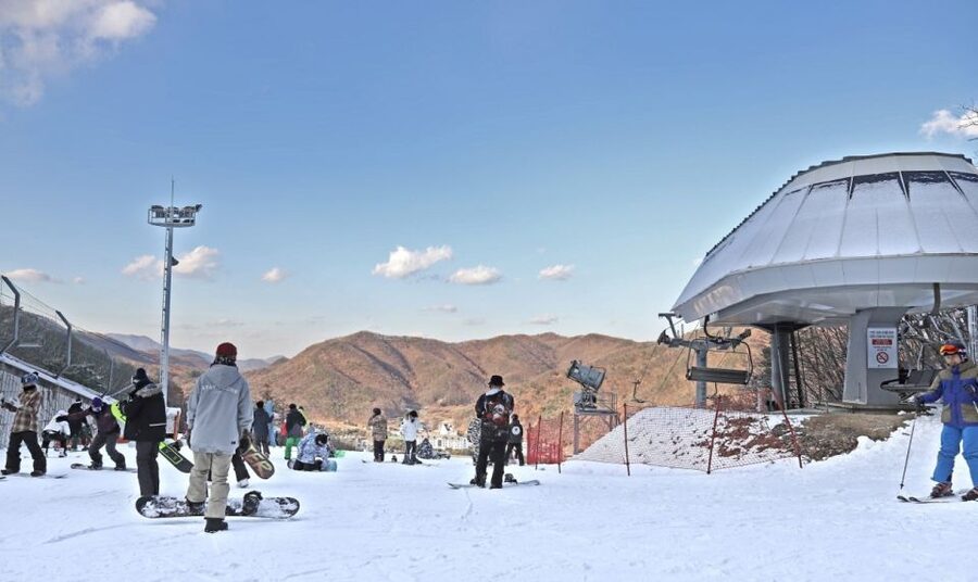 Seoul: Jisan Forest Winter Ski Day Tour with Basic Lesson - Who should book this Jisan Forest day trip?