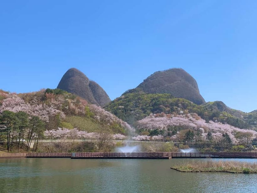 Seoul: Maisan Cherry Blossom and Jeonju Hanok Day Tour - Following the Cherry Blossoms at Maisan Provincial Park