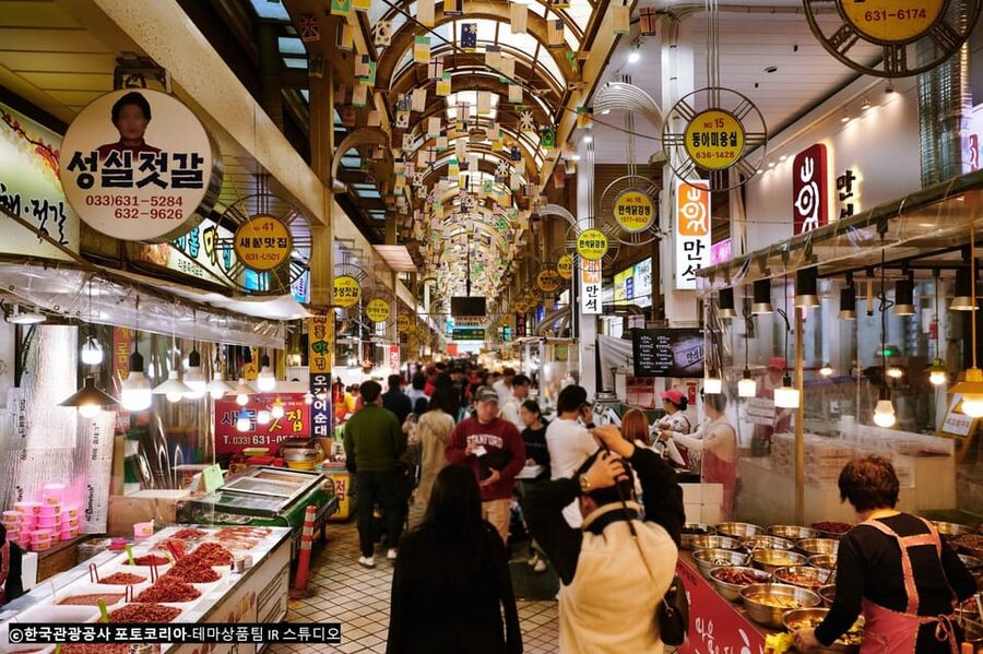 Seoul: Mt.Seorak(+CableCar Option)+Sokcho Fish Market&Beach - Who should book this day trip?