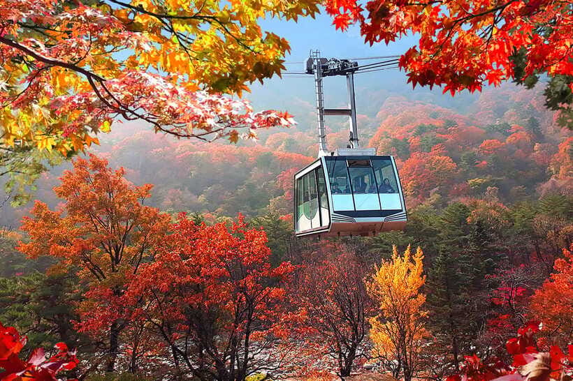 Seoul: Mt.Seorak(+CableCar Option)+Sokcho Fish Market&Beach - The value of $68 for a 14-hour day