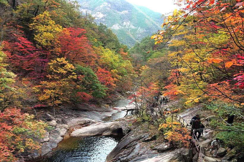 Seoul: Mt.Seorak(+CableCar Option)+Sokcho Fish Market&Beach - How the guide can shape a difficult weather day