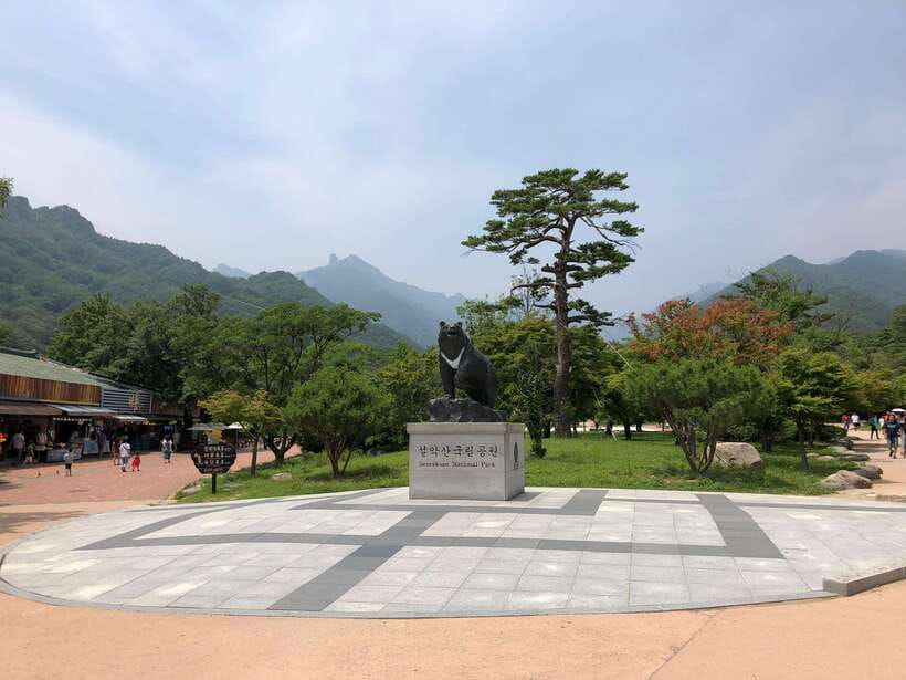 Seoul: Mt.Seorak(+CableCar Option)+Sokcho Fish Market&Beach - Walking among Sinheungsa Temple and the giant Buddha