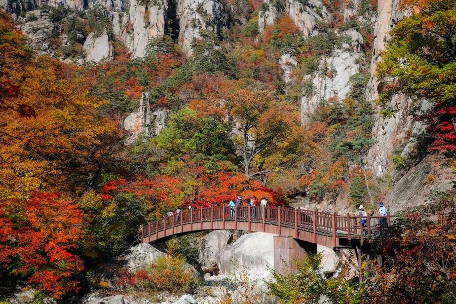 Seoul: Mt Seorak + Naksansa Temple or Nami Island Group Tour - Why this day trip works from Seoul
