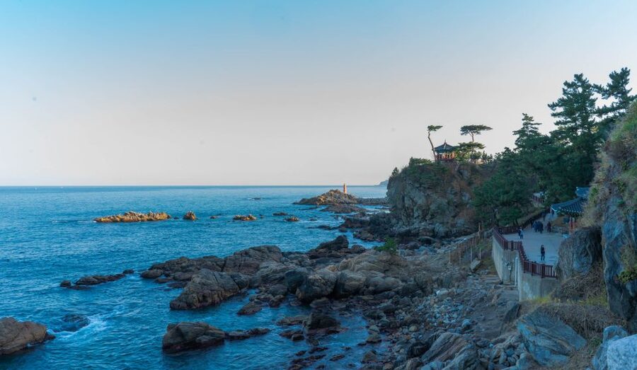 Seoul: Mt Seorak + Naksansa Temple or Nami Island Group Tour - Price, group size, and overall value