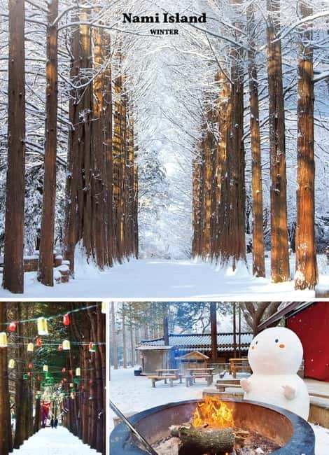 Seoul: Mt. Seorak & Nami Island & Eobi Ice Valley Day Tour - What this Seoul day trip is really trying to do