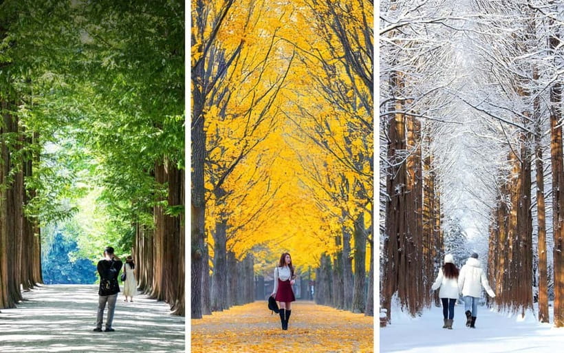 Seoul: Mt. Seorak & Nami Island & Eobi Ice Valley Day Tour - Getting value from the $93 price