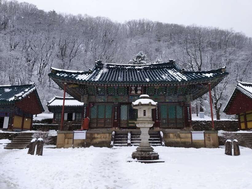 Seoul: Mt.Seorak, Nami Island & Korean Garden, No Shopping - Why this day trip makes sense from Seoul