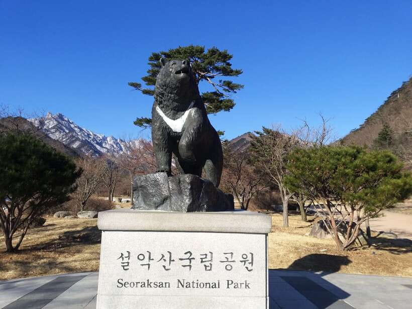 Seoul: Mt.Seorak, Nami Island & Korean Garden, No Shopping - Lunch is practical, not part of the ticket