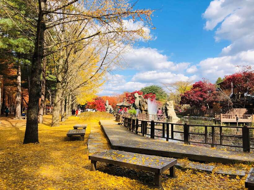 Seoul: Mt.Seorak, Nami Island & Korean Garden, No Shopping - Nami Island: pretty paths and plenty of photo stops