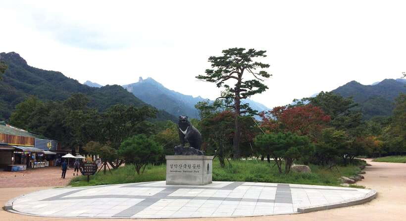 Seoul: Mt.Seorak, Nami Island, No Shopping(+RailBike Option) - Mt. Seorak: rocks, forest, and the big Buddha