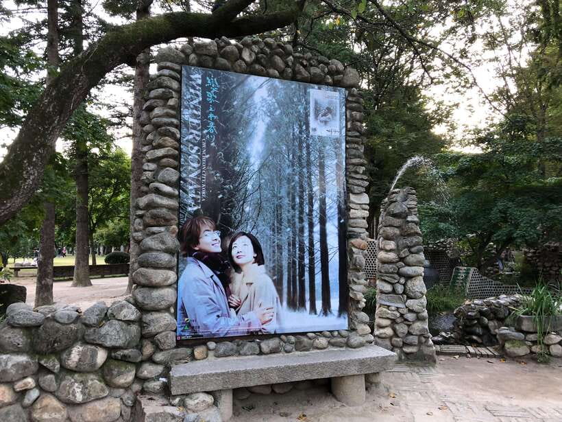 Seoul: Mt.Seorak, Nami Island, No Shopping(+RailBike Option) - Nami Island: trees, river, and K-drama memories