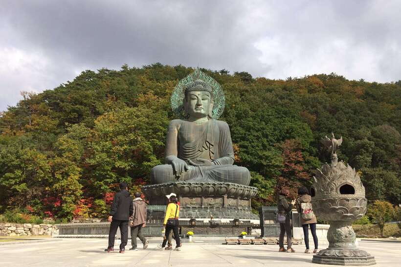 Seoul: Mt.Seorak, Nami Island, No Shopping(+RailBike Option) - Starting in Myeongdong or near Hongdae